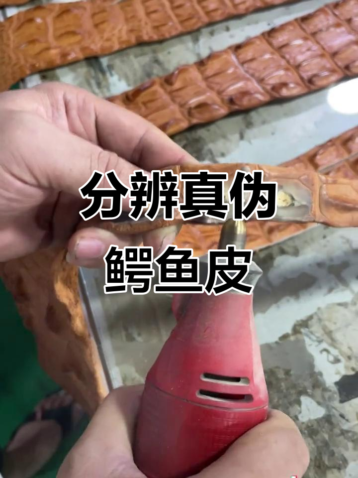 如何辨别真假鳄鱼皮?简单实用的鉴别方法