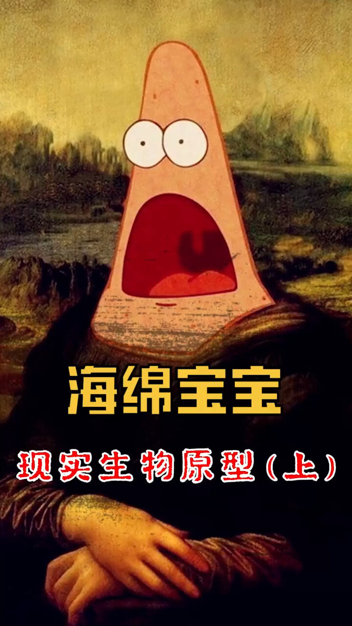 海绵宝宝人物原型,你都知道吗?