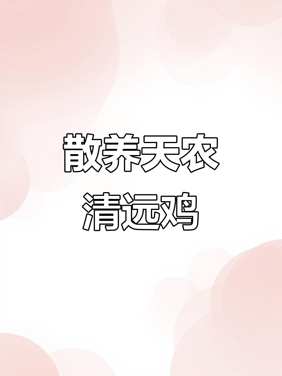 天农清远鸡:散养土鸡的独特品质与美味