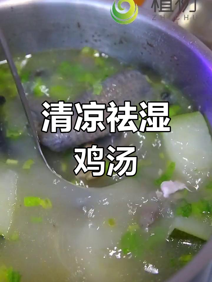 夏日解暑冬瓜老母鸡汤,营养又美味
