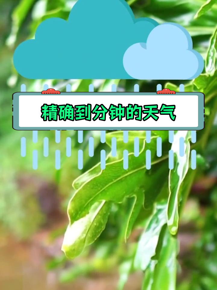 未来15天精准天气预报,几点几分降雨全知道