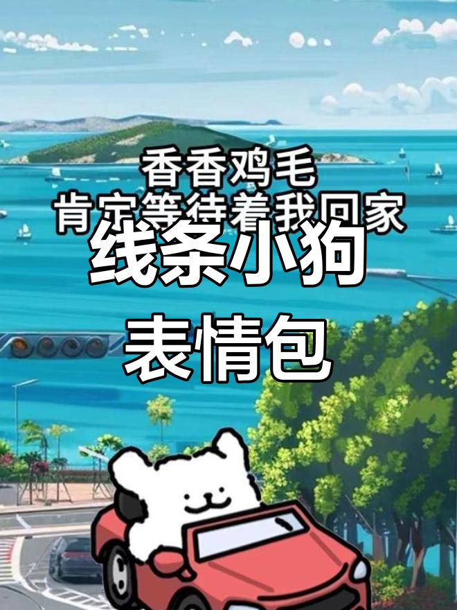 小鸡毛不听小白的话