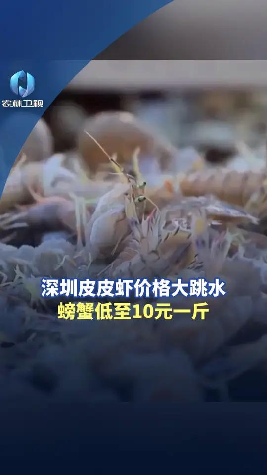 深圳皮皮虾价格大跳水,螃蟹低至10元一斤