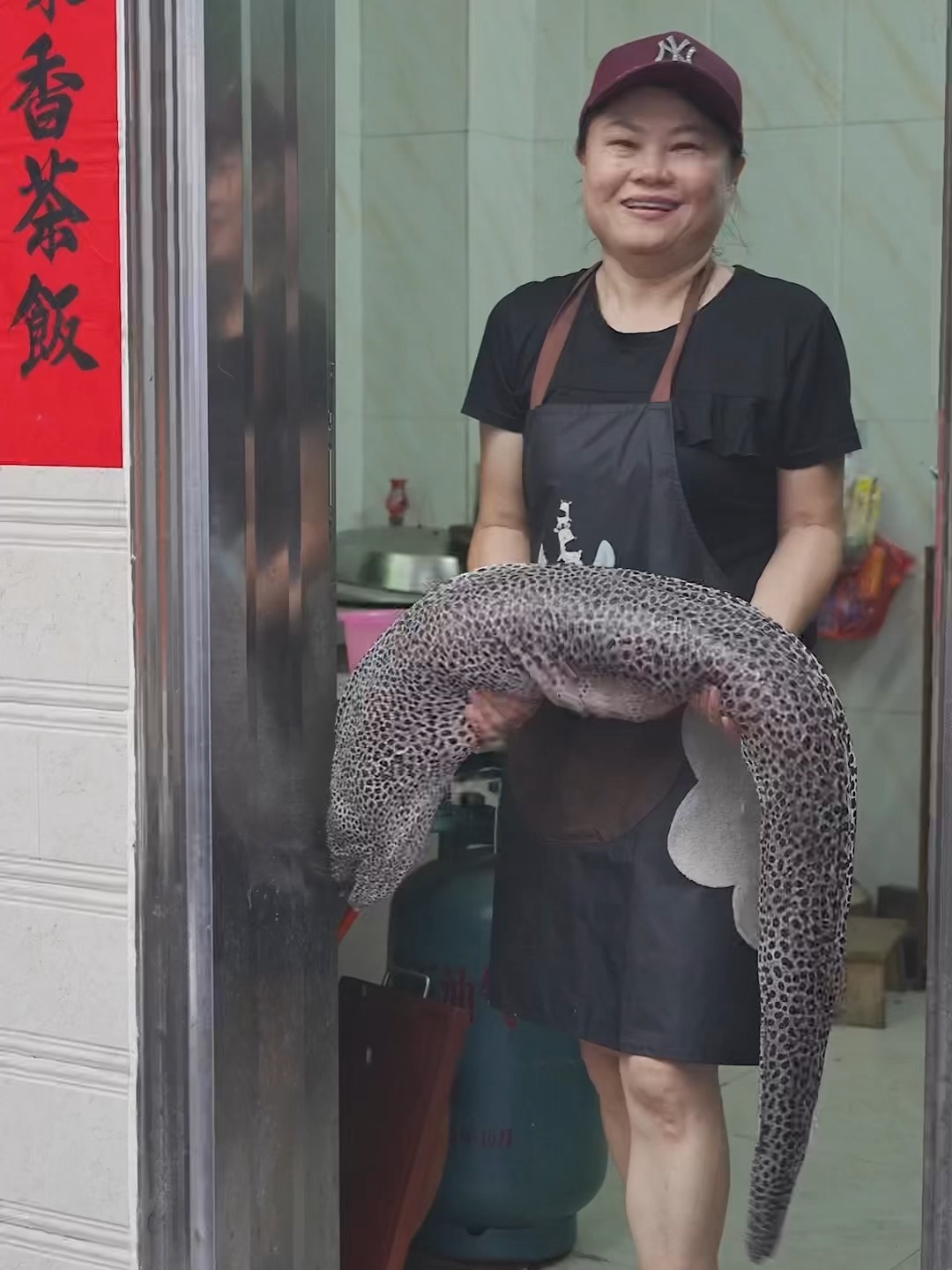 穿豹纹的大海鳗你见过吗,阿姨也是第一次见!