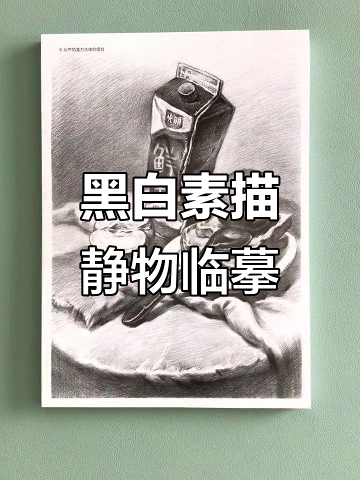 双面打印素描静物组合卡,结构图辅助临摹