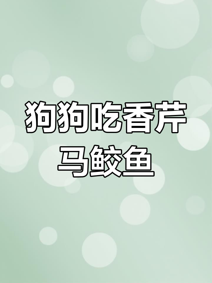 狗狗第一次尝试香芹和马鲛鱼,反应超有趣