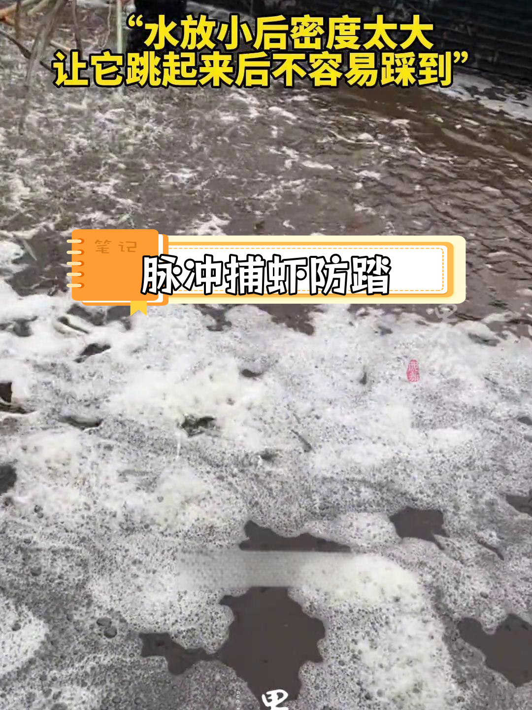 电脉冲捕虾,避免踩伤