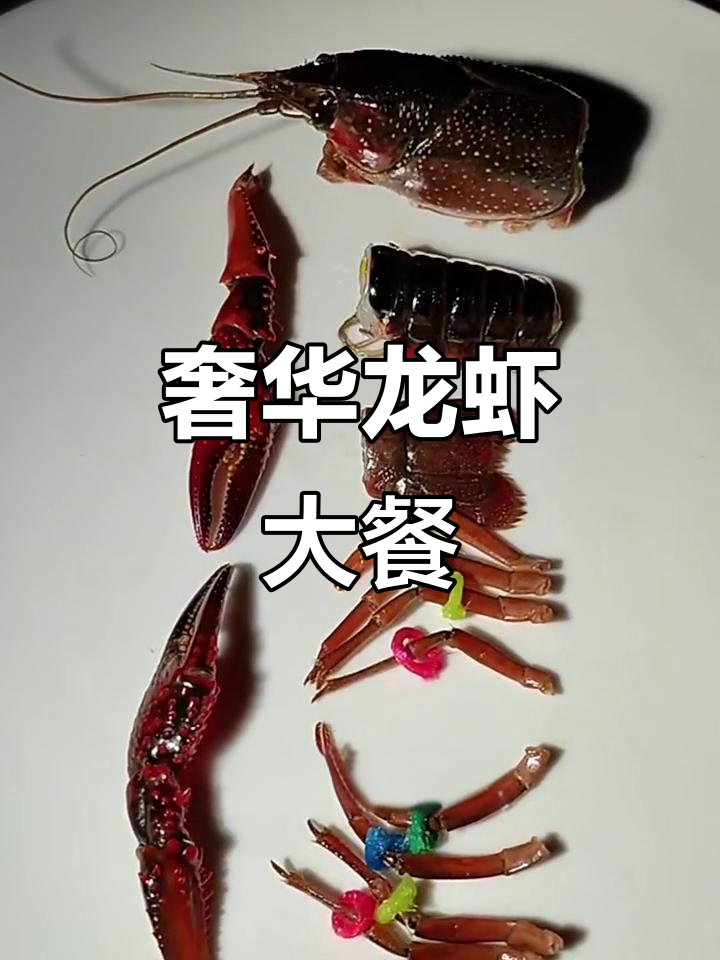 澳洲龙虾神仙吃法，干烧虾头、盐焗钳子，油炸尾身一网打尽