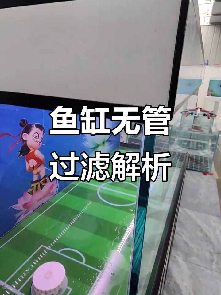 无管道静音鱼缸过滤系统揭秘,水质提升全靠它