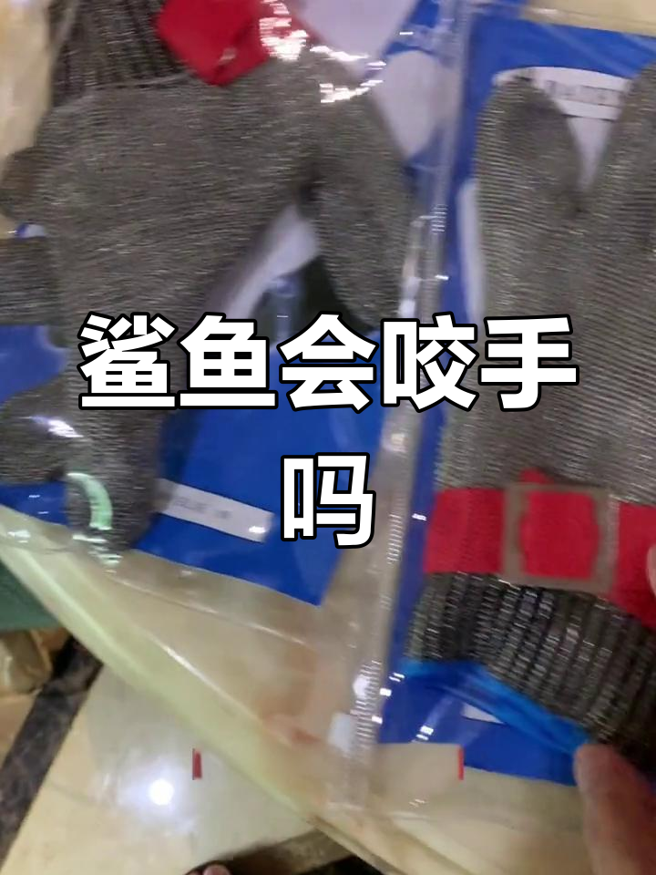 饥饿鲨鱼能否咬断钢丝手套?实验结果惊人