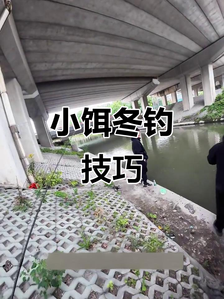 冬季钓鱼小技巧,泥鳅打窝也能钓到惊喜