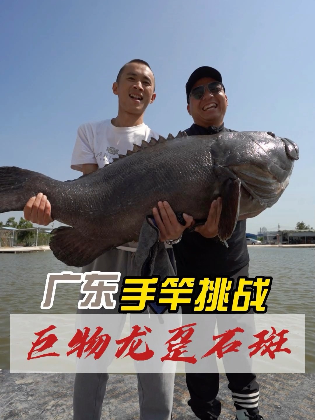 龙趸鱼