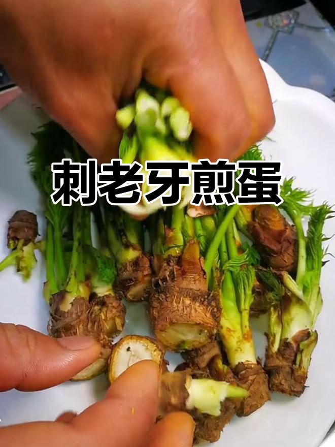 刺老芽煎蛋,香嫩又带劲!