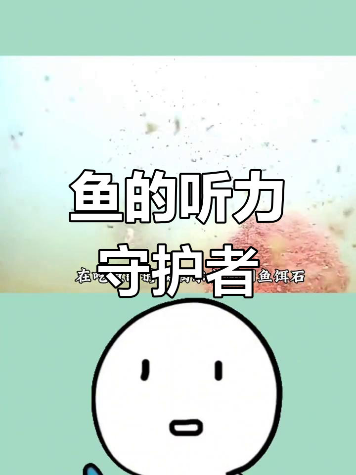 鱼耳石:感知声音与重力变化的关键