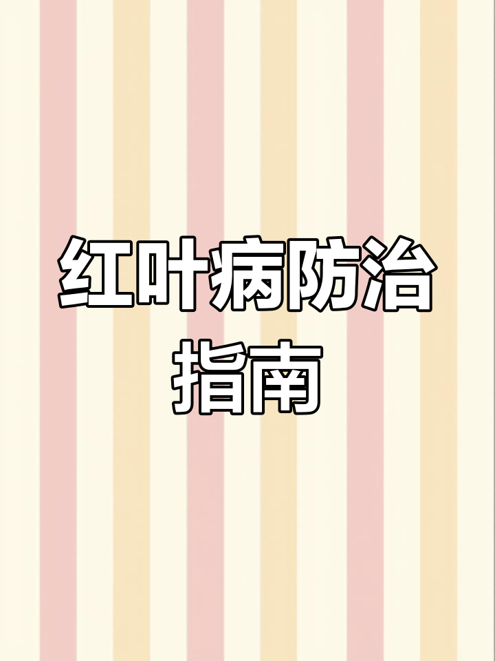 红叶病迅速蔓延,及时用药控制!