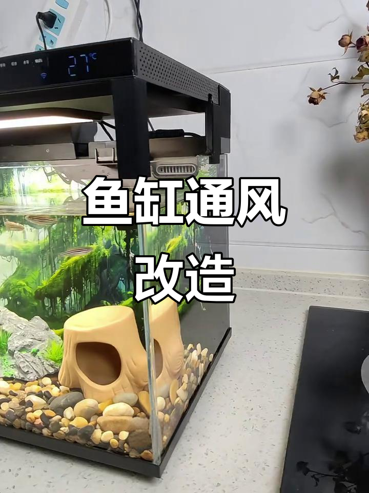 小米鱼缸盖不透气,加高支架能改善缺氧问题