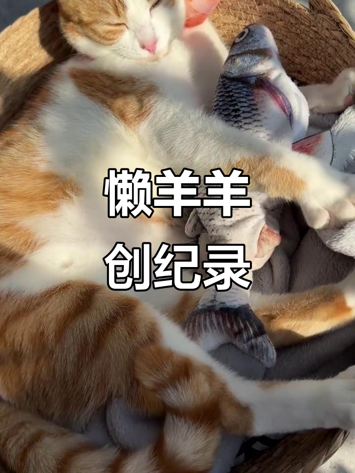 懒羊羊挑战新纪录,虾兵鱼将轻松搞定