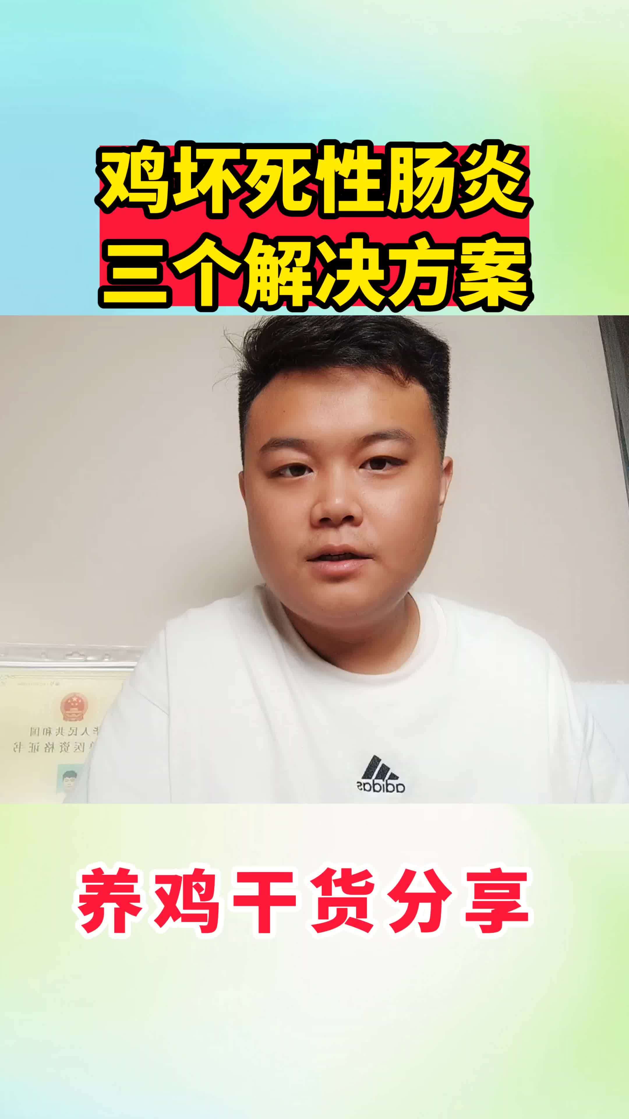 生态散养土鸡 农村散养土鸡 散养土鸡 养鸡 养鸡小妙招