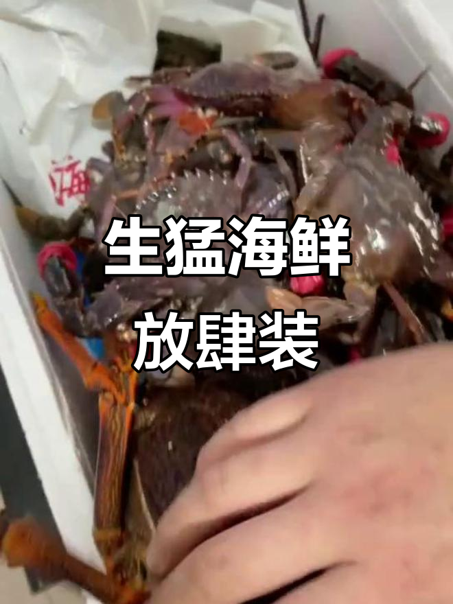 渤海海鲜大揭秘:活鲍鱼、鲜美十足,打包发货超生猛