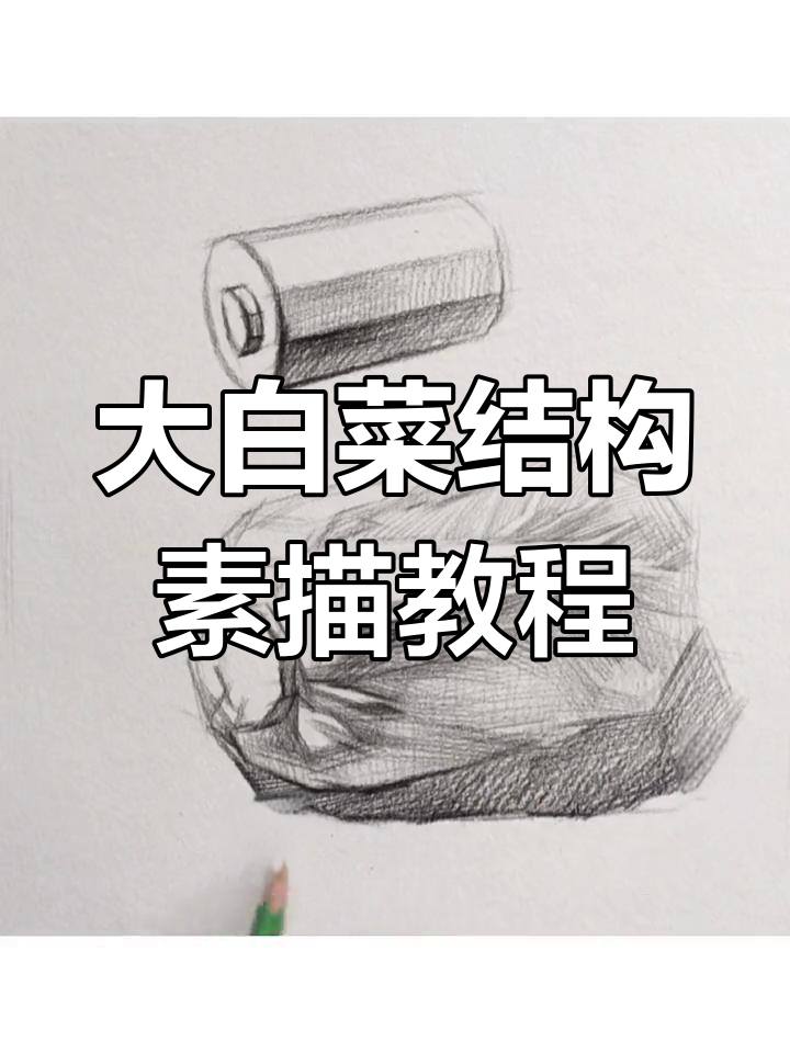 素描大白菜技巧:从圆柱体到明暗交界线全解析