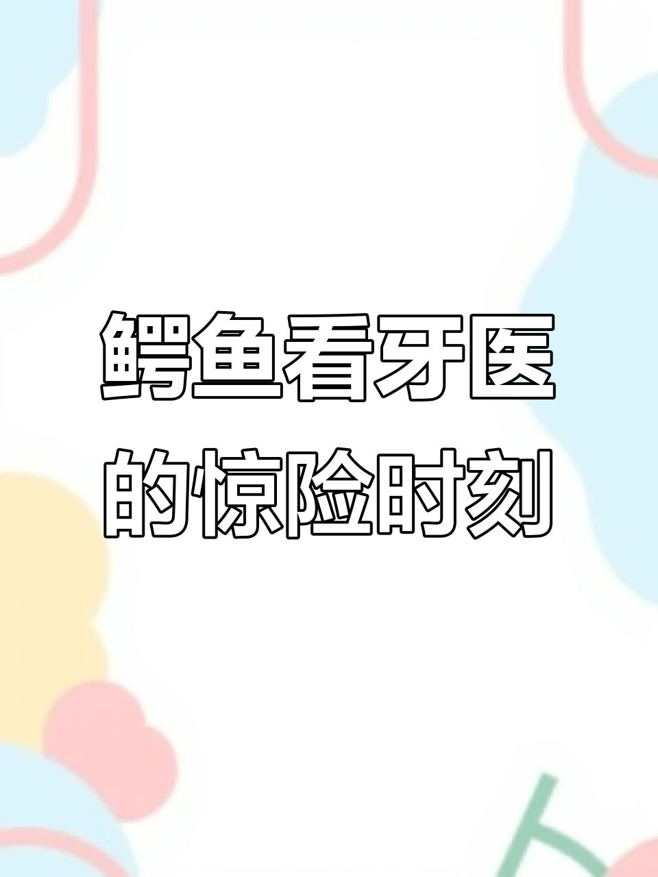 鳄鱼怕牙医,拔牙大战一触即发