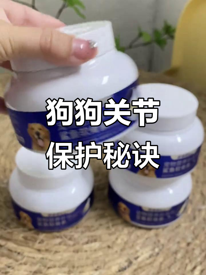 狗狗关节养护从小做起,氨糖软骨素必备