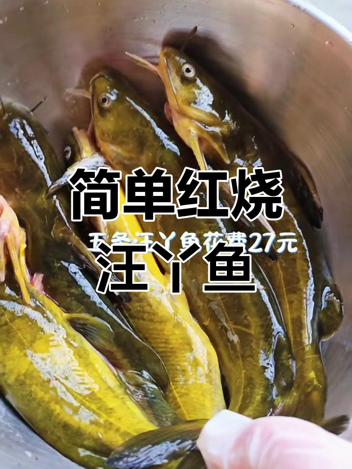 红烧汪丫鱼,家常美味轻松做