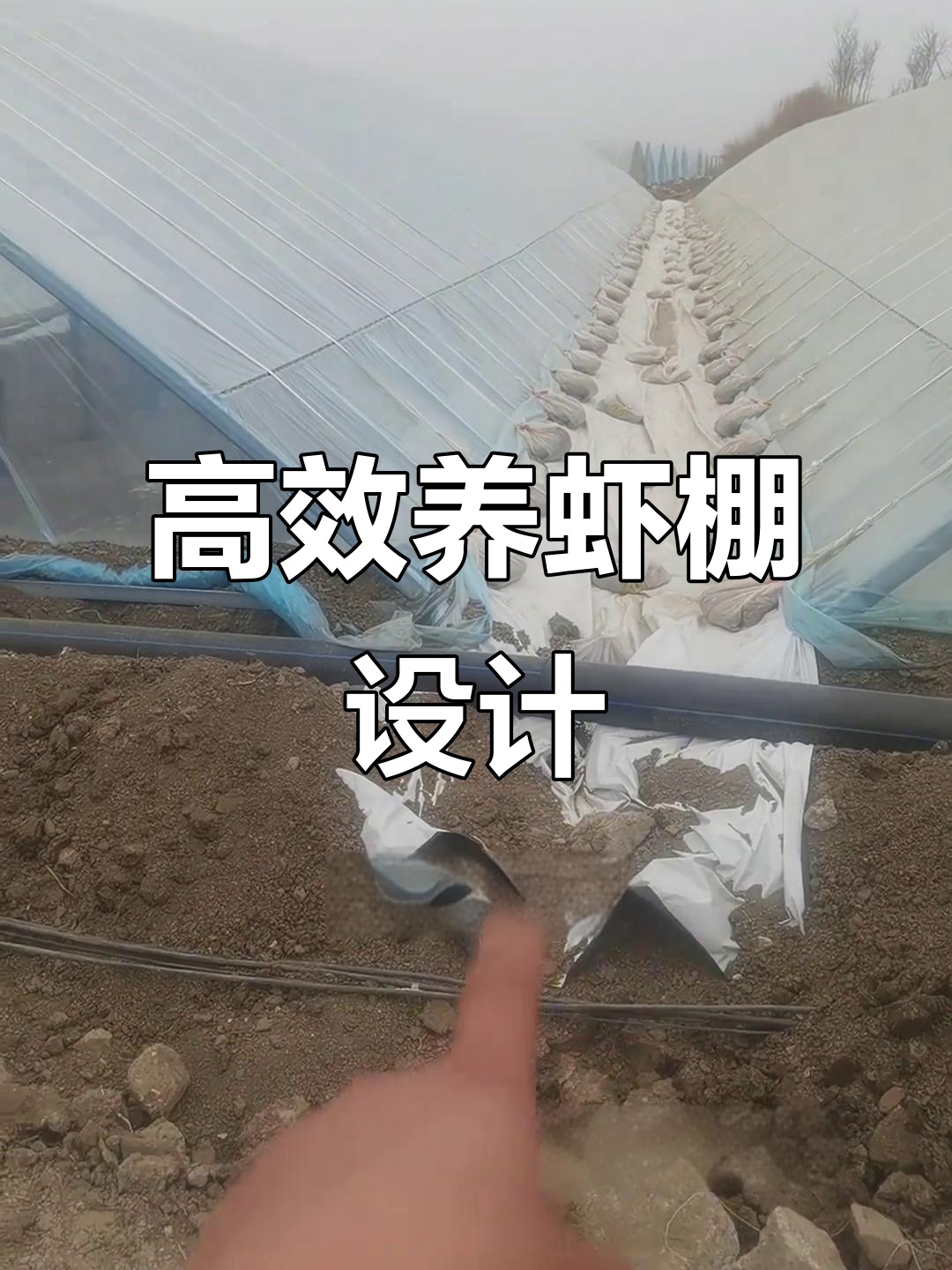 养虾大棚设计揭秘:如何避免水淹和土壤流失