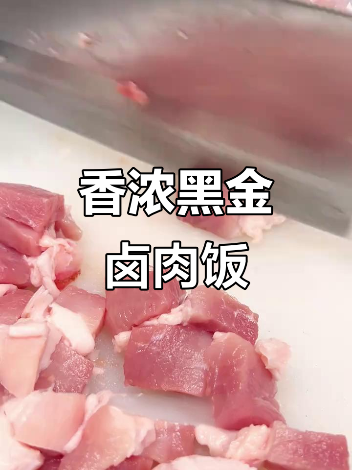 黑金卤肉饭,香气扑鼻,拌饭绝配!