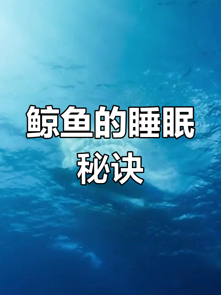 鲸鱼如何避免在海底窒息?