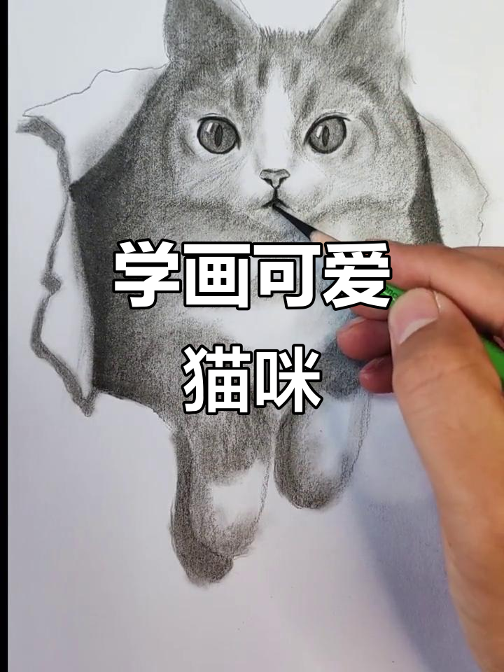 画出猫咪的独特魅力,简单步骤教你轻松掌握素描技巧