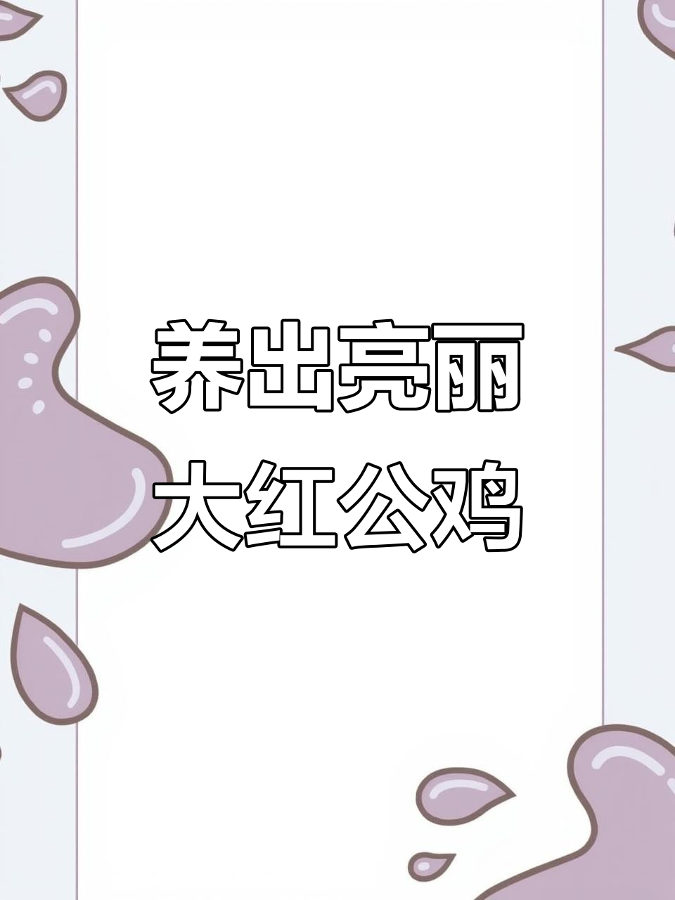 合肥孙老板的养殖秘诀:如何用增重宝提升大红公鸡品质