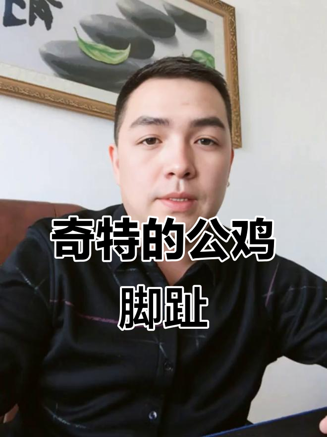公鸡的“武器”竟是脚上的这个宝贝,奇特又有趣!