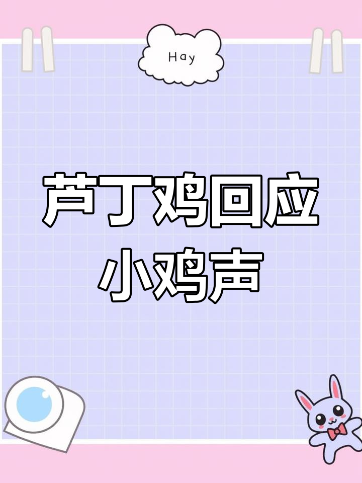 小鸡叫声引母鸡反应,未来下蛋可期