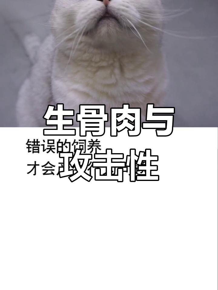 猫咪吃生骨肉会变野吗?