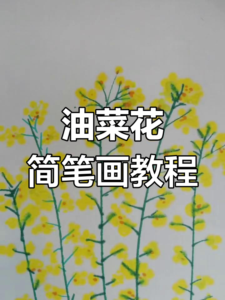 学画油菜花,轻松掌握简单技巧