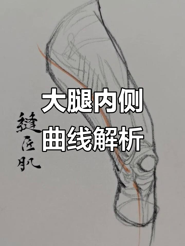 付爱民揭秘大腿内侧造型,女性肌肉线条如何刻画