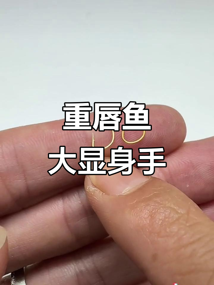 多种重唇鱼效果显著，鲫鱼、黄尾等表现突出