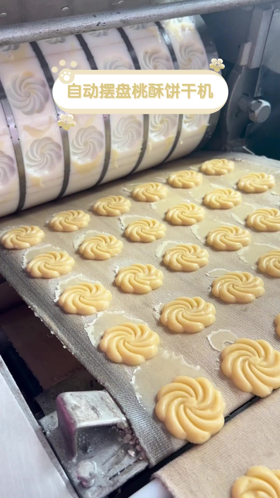 自动摆盘桃酥饼干机