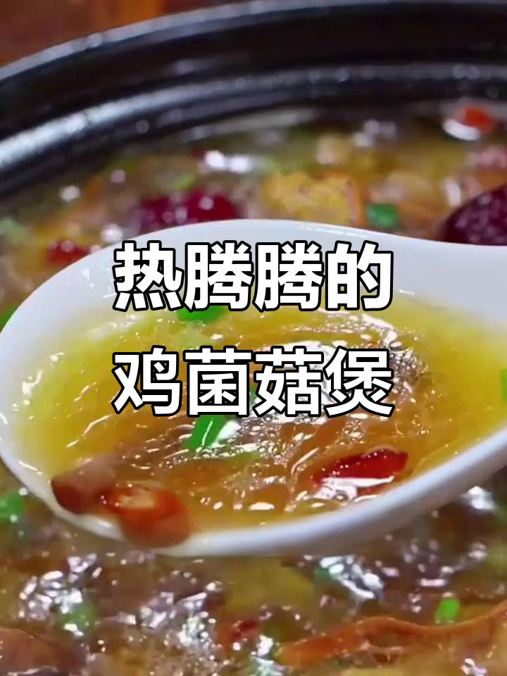 鸡肉菌菇煲,暖心汤料搭配羊肚菌,炖出鲜美营养鸡汤