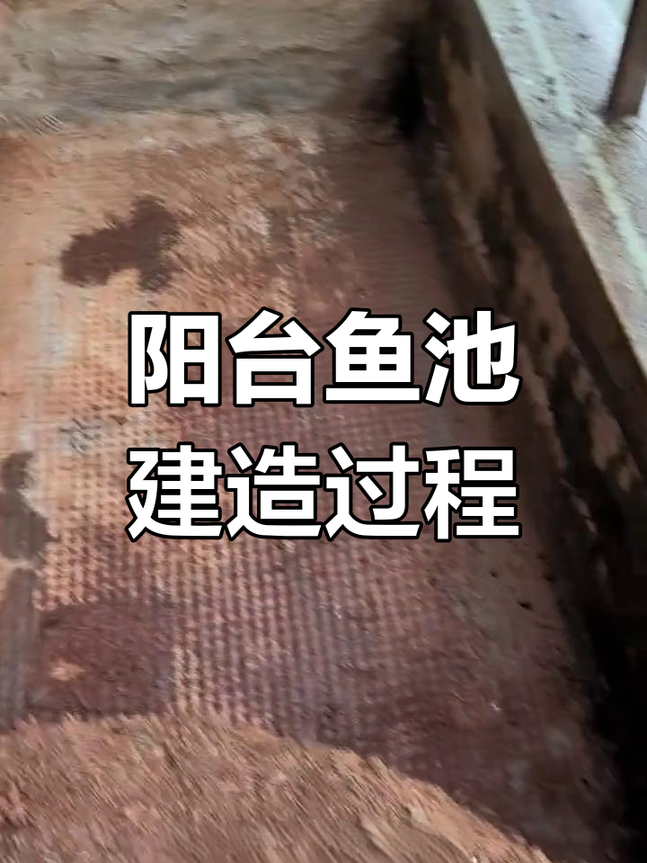 自建阳台生态鱼池进展:排水设计与塑形打造