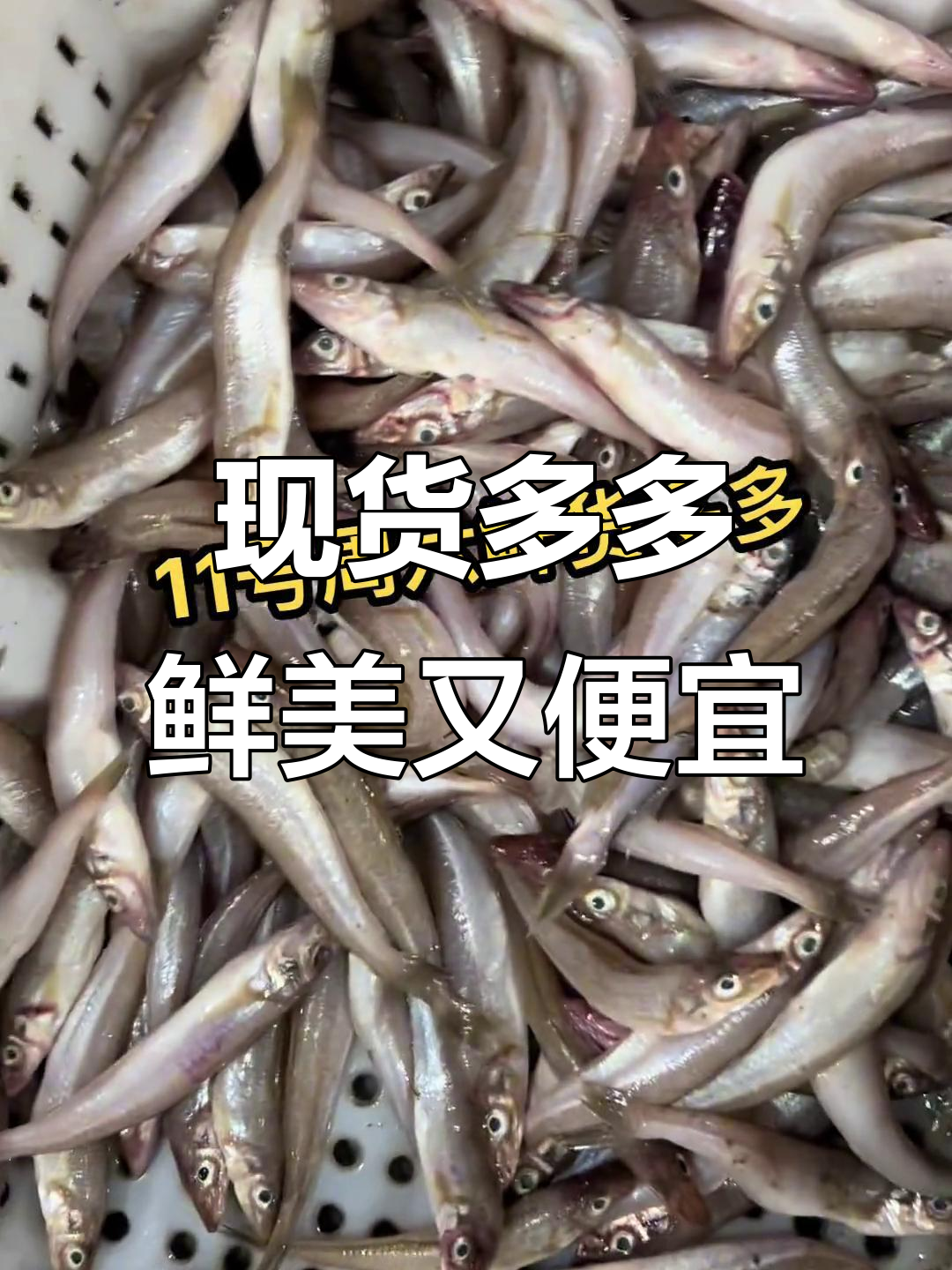 每天新鲜货,价格超实惠!野生小黄花鱼、大鲫鱼等一应俱全