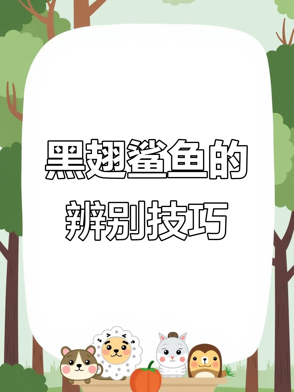 如何分辨黑翅鲨鱼,避免买到不好吃的品种