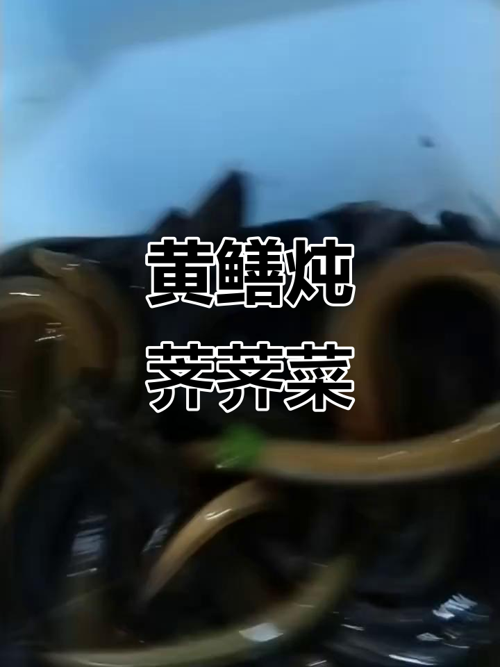 野生黄鳝与土豆条炖荠荠菜,户外抓捕大作战