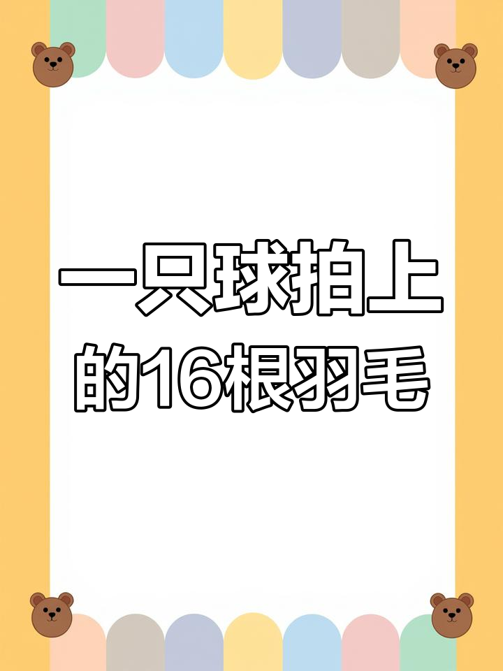 羽毛球的羽毛秘密:一只鹅能贡献多少根?