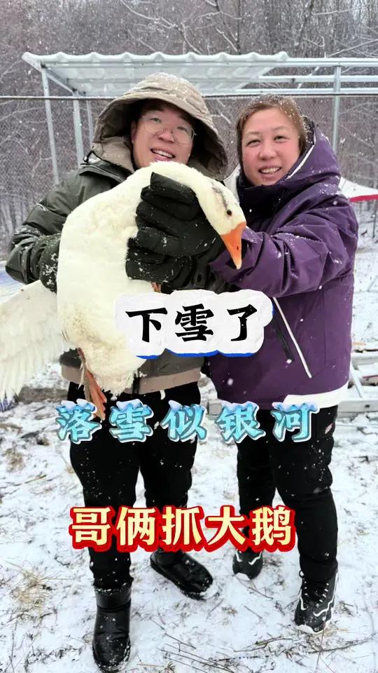 2025年第一场大雪,落雪似银河,铁锅必须炖大鹅