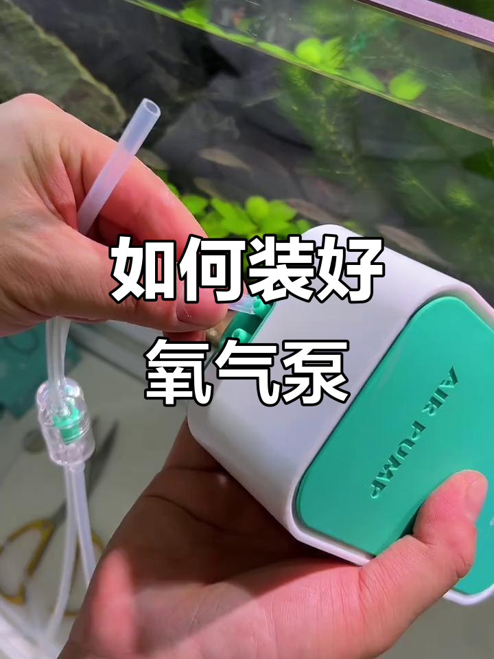 正确安装氧气泵,步骤全解析