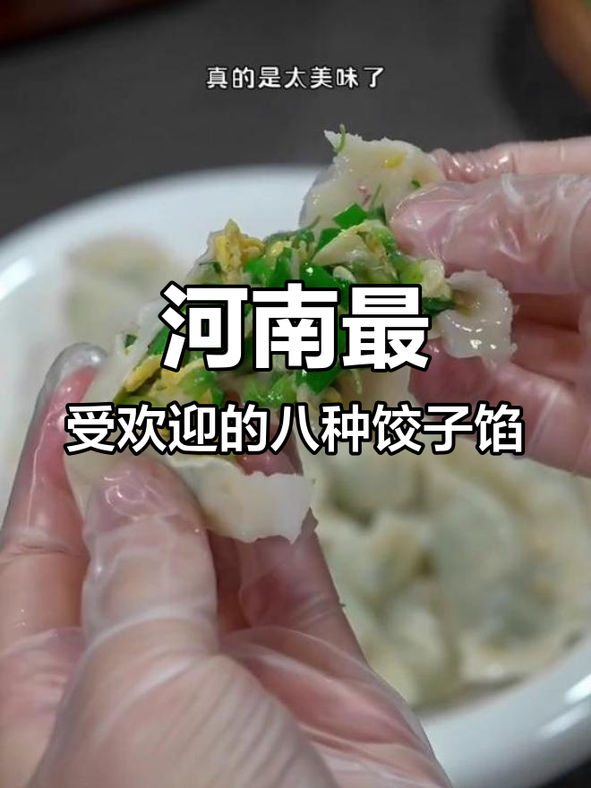 河南八大必试饺子馅,最后一种吃到停不下来