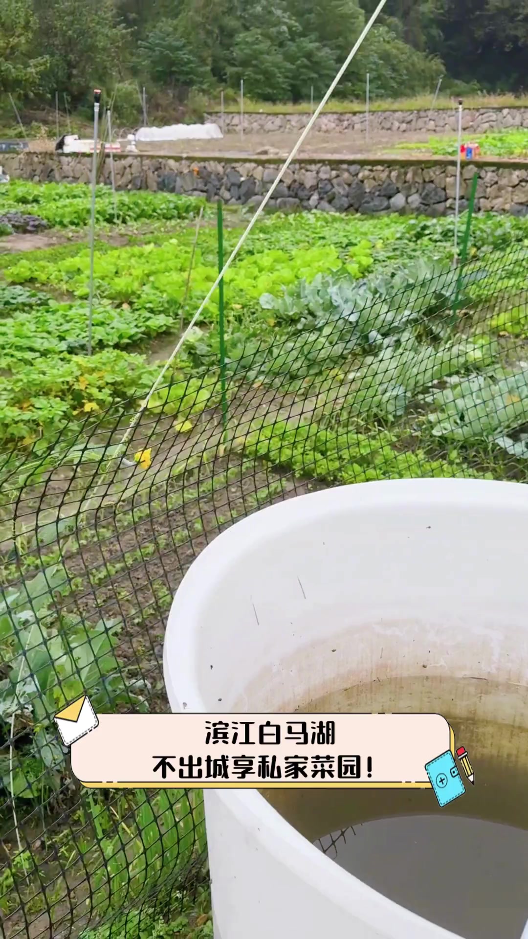 滨江白马湖,不出城享私家菜园!