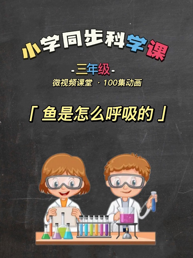 三年级同步科学课《鱼是怎么呼吸的》